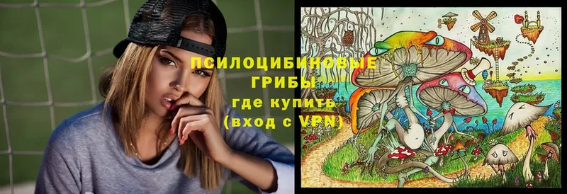 Галлюциногенные грибы Cubensis  Кыштым 